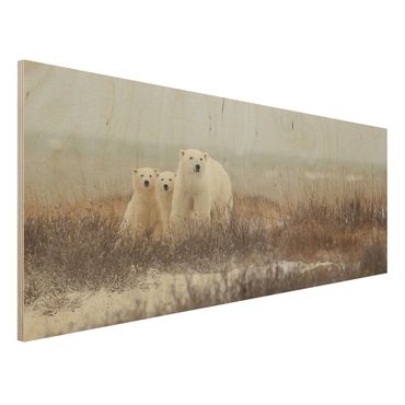 Obraz z drewna - Niedźwiedzica polarna i jej młode