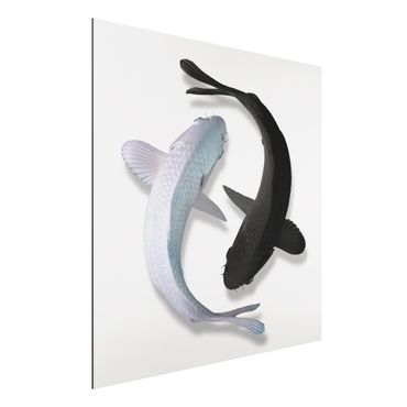 Obraz Alu-Dibond - Pisces Ying & Yang