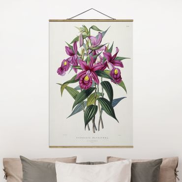 Plakat z wieszakiem - Maxim Gauci - Orchidea I
