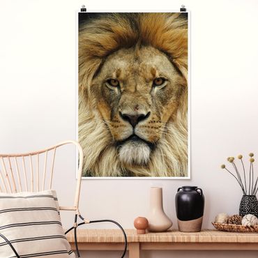 Plakat - Mądrość lwa