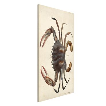 Tablica magnetyczna - Ilustracja w stylu vintage przedstawiająca kraba