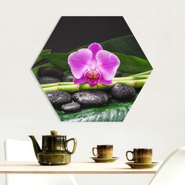 Obraz heksagonalny z Forex - Zielony bambus z kwiatem orchidei