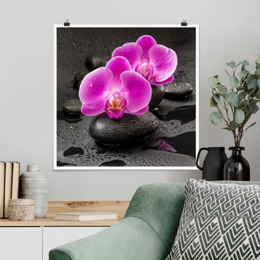 Plakat - Kwiaty różowej orchidei na kamieniach z kroplami