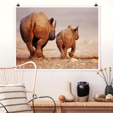 Plakat - Wędrujące nosorożce
