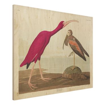 Obraz z drewna - Tablica edukacyjna w stylu vintage Czerwony Ibis