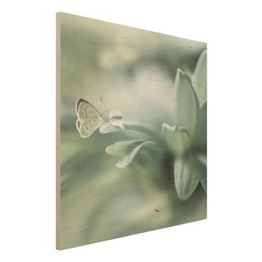 Obraz z drewna - Motyl i krople rosy w pastelowej zieleni