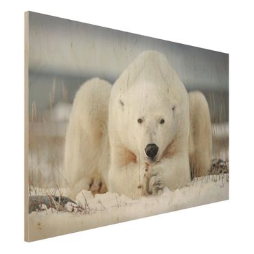 Obraz z drewna - Przemyślany niedźwiedź polarny