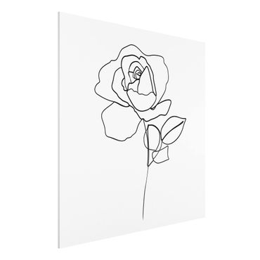 Obraz Forex - Line Art Róża czarno-biały
