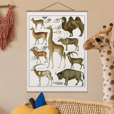 Plakat z wieszakiem - Tablica edukacyjna w stylu vintage Żyrafa, wielbłąd i lama