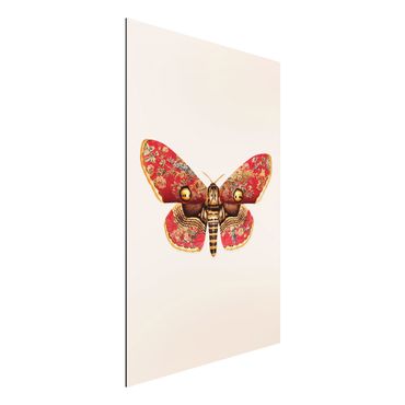 Obraz Alu-Dibond - Vintage Moth