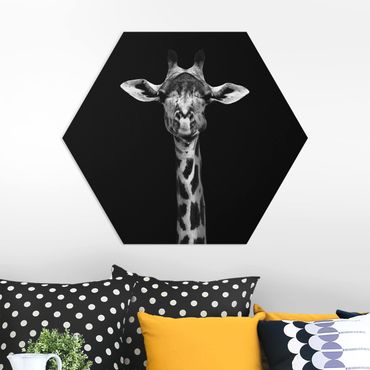 Obraz heksagonalny z Forex - Portret ciemnej żyrafy