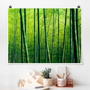 Plakat - Las bambusowy