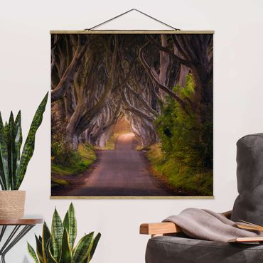 Plakat z wieszakiem - Tunel z drzew