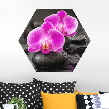 Obraz heksagonalny z Forex - Kwiaty różowej orchidei na kamieniach z kroplami