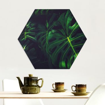 Obraz heksagonalny z Alu-Dibond - Monster Dżungla