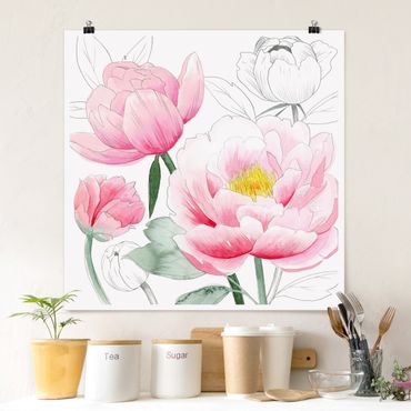 Plakat - Rysowanie różowych peonii I