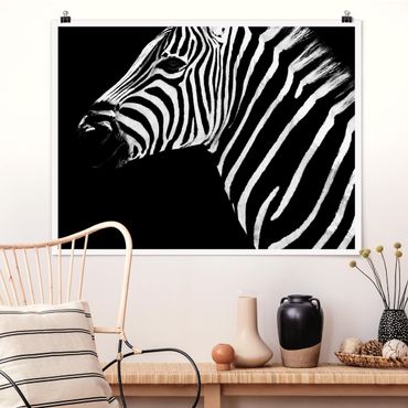 Plakat - Zebra Safari Art