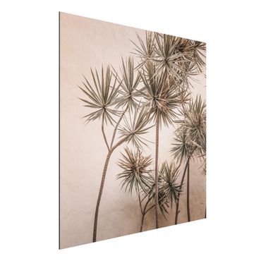 Obraz Alu-Dibond - Drzewa palmowe muśnięte słońcem