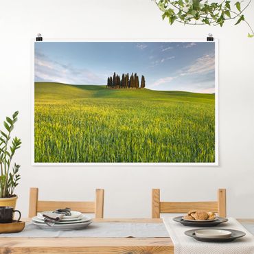 Plakat - Zielone pole w Toskanii
