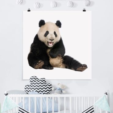 Plakat - Śmiejąca się panda