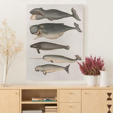 Obraz na płótnie - Pięć wieloryby w stylu vintage