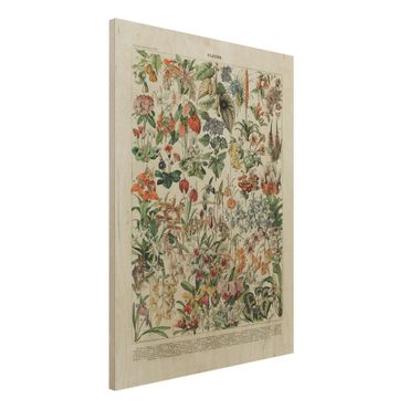 Obraz z drewna - Tablica edukacyjna w stylu vintage Kwiaty III