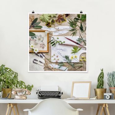 Plakat - Kwiaty i zioła ogrodowe Vintage