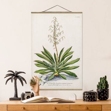 Plakat z wieszakiem - Vintage Botanika Ilustracja Yucca