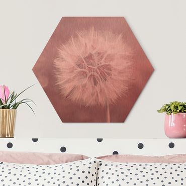 Obraz heksagonalny z Alu-Dibond - dandelion bokeh różowy