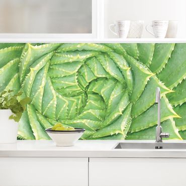 Panel ścienny do kuchni - Aloes spiralny