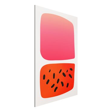 Obraz Alu-Dibond - Abstrakcyjne kształty - Melon i róż