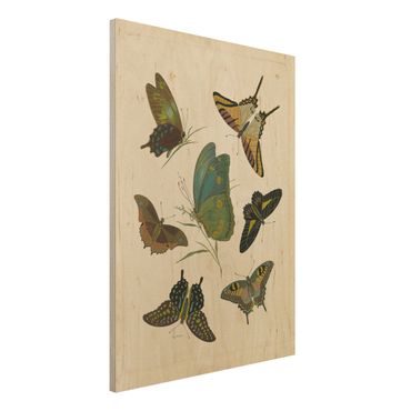 Obraz z drewna - Ilustracja w stylu vintage Motyle egzotyczne