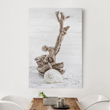 Obraz na płótnie - Biała skorupa ślimaka i drewno korzeniowe