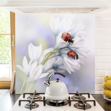 Panel szklany do kuchni - Motylek i biedronka na kwiatach