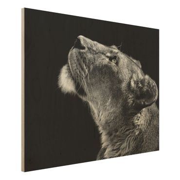 Obraz z drewna - Portret lwicy