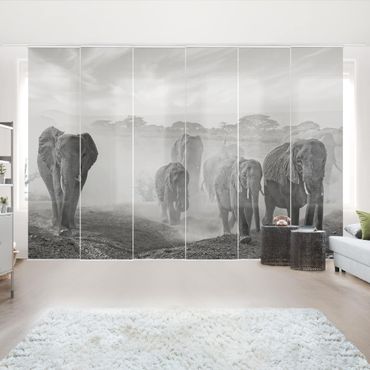 Zasłony panelowe zestaw - Stado słoni