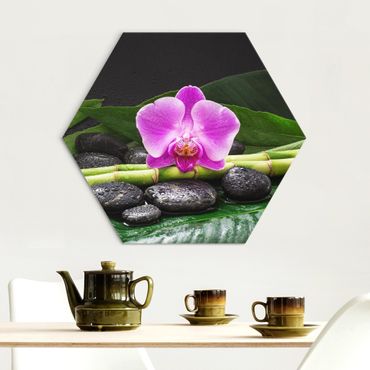 Obraz heksagonalny z Alu-Dibond - Zielony bambus z kwiatem orchidei