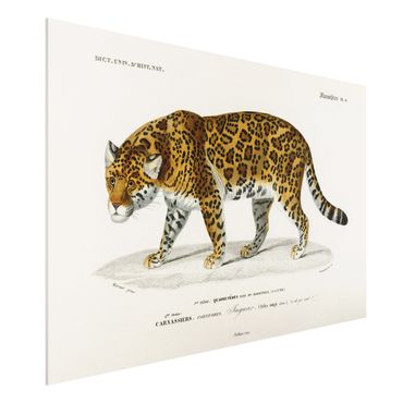 Obraz Forex - Tablica edukacyjna w stylu vintage Jaguar
