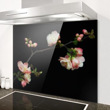 Panel szklany do kuchni - Jabłoń z kwitnącą gałązką