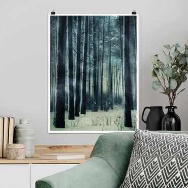 Plakat - Mistyczny las zimowy
