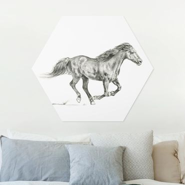 Obraz heksagonalny z Forex - Badanie dzikich koni - klacz