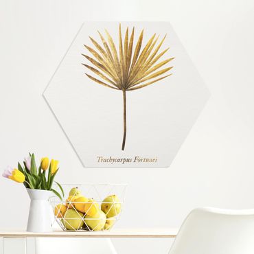 Obraz heksagonalny z Forex - Złoto - liść palmy