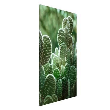 Tablica magnetyczna - Kaktusy