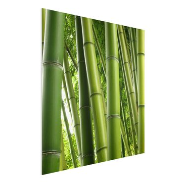 Obraz Forex - Drzewa bambusowe Nr 1