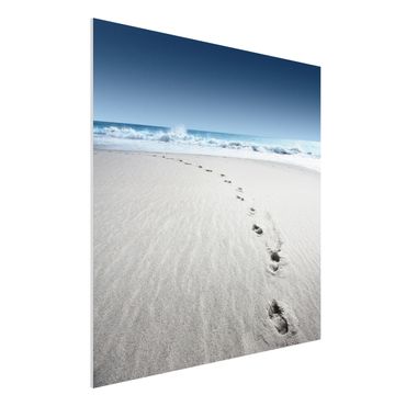 Obraz Forex - Ścieżki na piasku