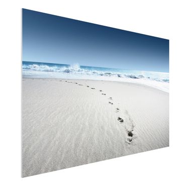 Obraz Forex - Ścieżki na piasku