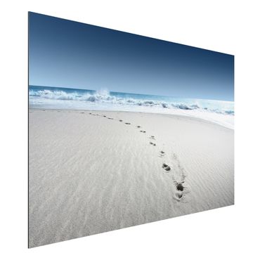 Obraz Alu-Dibond - Ścieżki na piasku