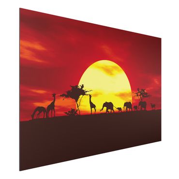 Obraz Alu-Dibond - Karawana o zachodzie słońca