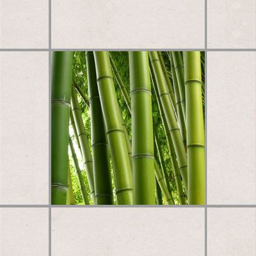 Naklejka na płytki - Drzewa bambusowe Nr 1