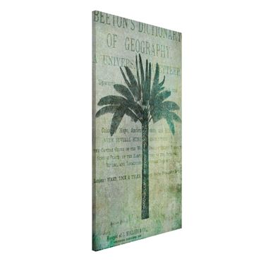 Tablica magnetyczna - Kolaż w stylu vintage - antyczne drzewo palmowe